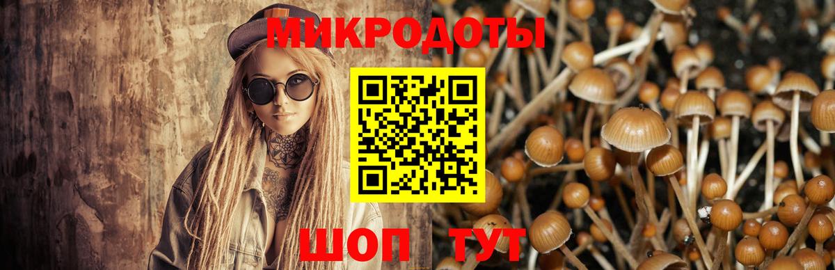 Псилоцибиновые грибы Magic Shrooms Елизово